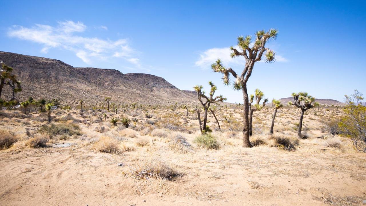 Hotel Wind Hill Yucca Valley Zewnętrze zdjęcie